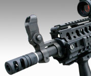 AR-10 HIDER