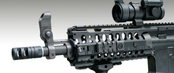 AR-10 HIDER