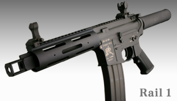 pgIbg1