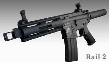 pgIbg1