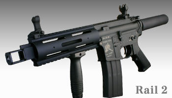pgIbg1