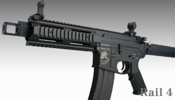 pgIbg1