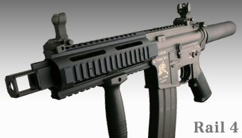 pgIbg1