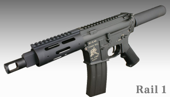 pgIbg2