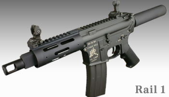pgIbg2