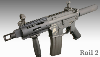 pgIbg2