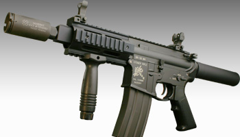 pgIbg2