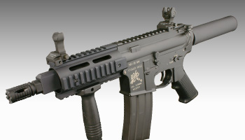 pgIbg2