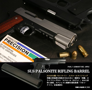 SUS Palsonite
