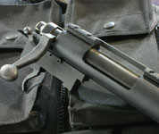 PDI M24X