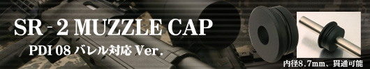SR-2�}�Y��CAP