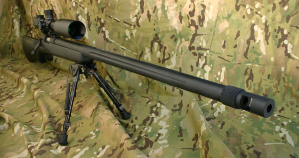 SPR Hider^TM VSR-10 Pro Sniper